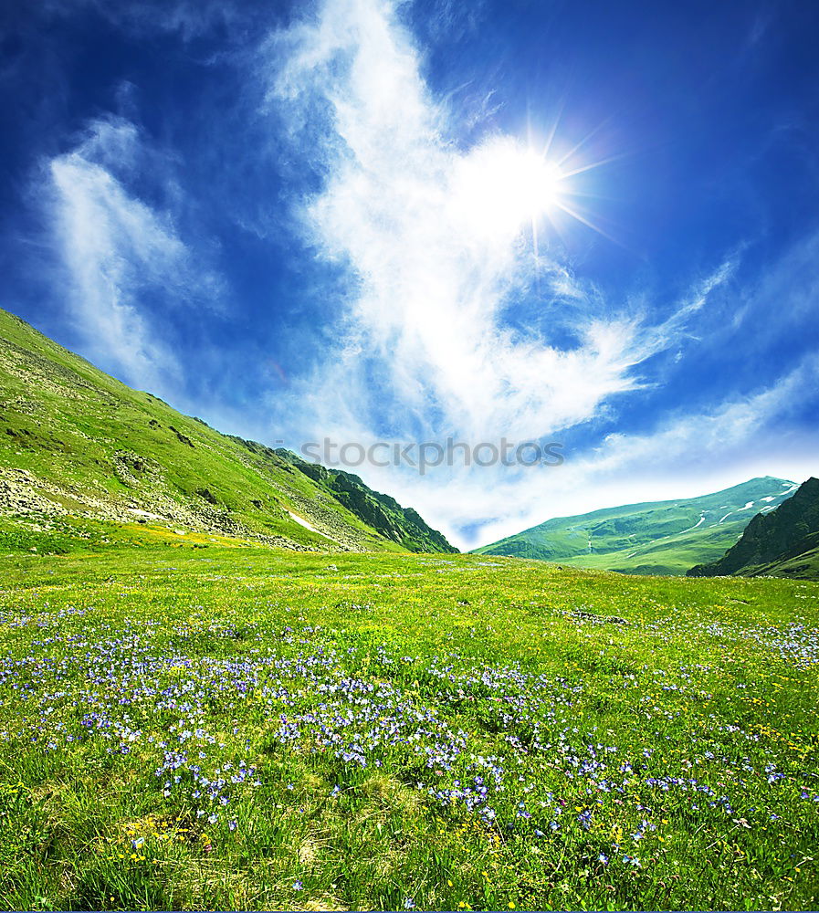 Similar – Image, Stock Photo toward heaven Mountain