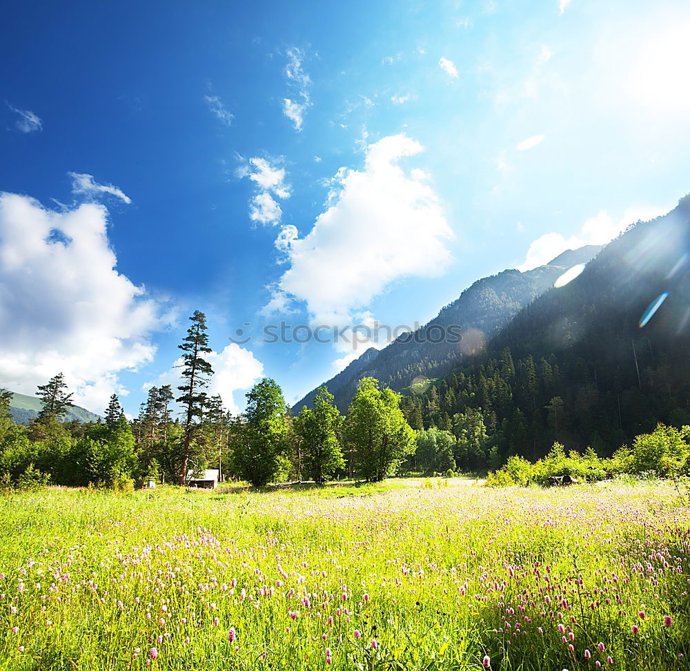 Similar – happy lovers on Holiday in the alps mountains