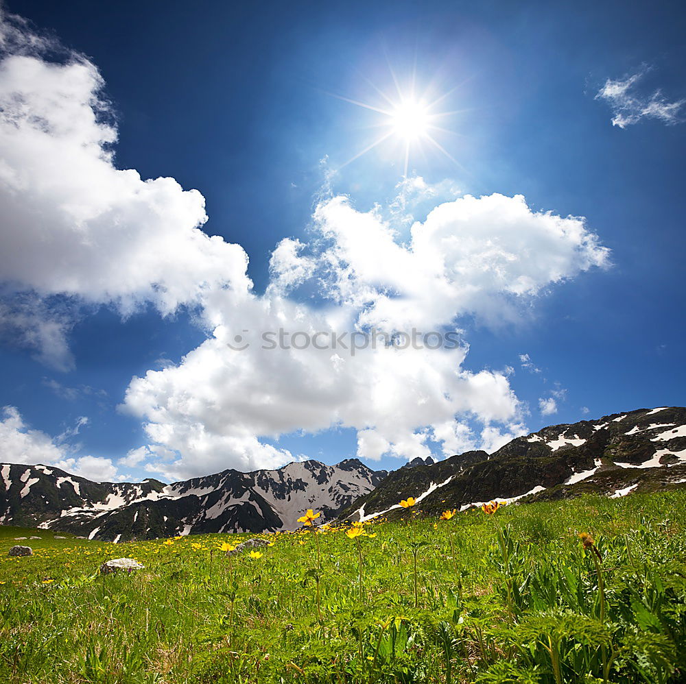 Similar – Image, Stock Photo toward heaven Mountain