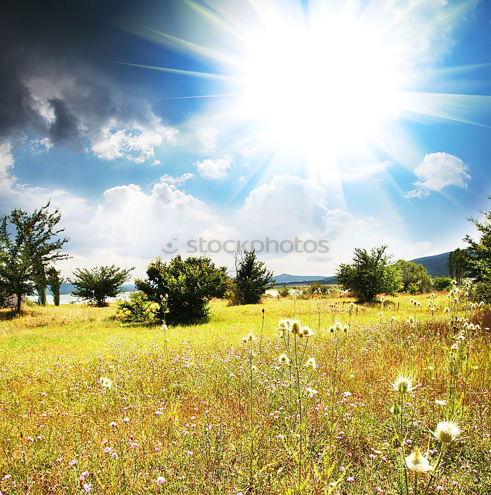 Similar – Foto Bild Tirol Natur Landschaft