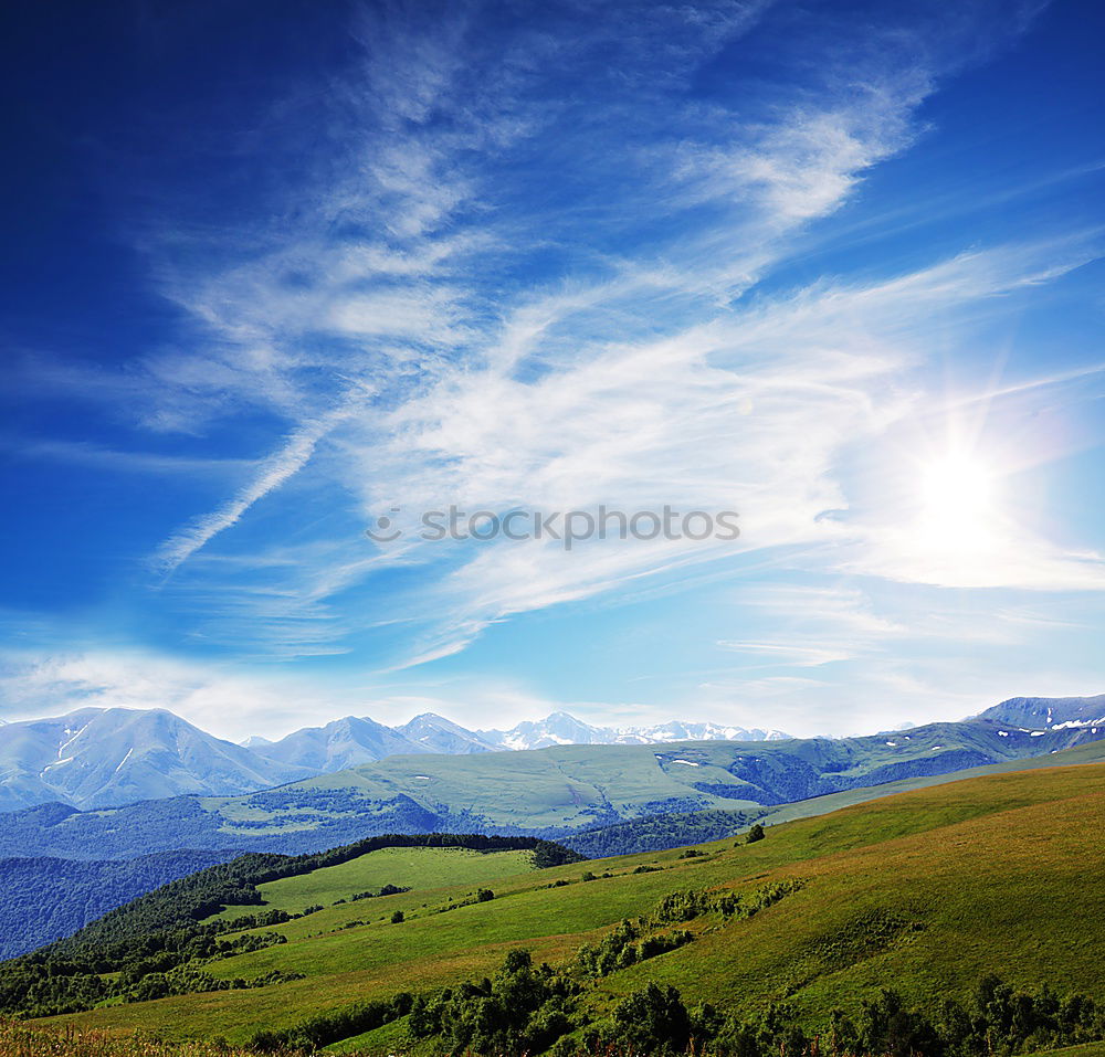 Similar – vineyard Environment