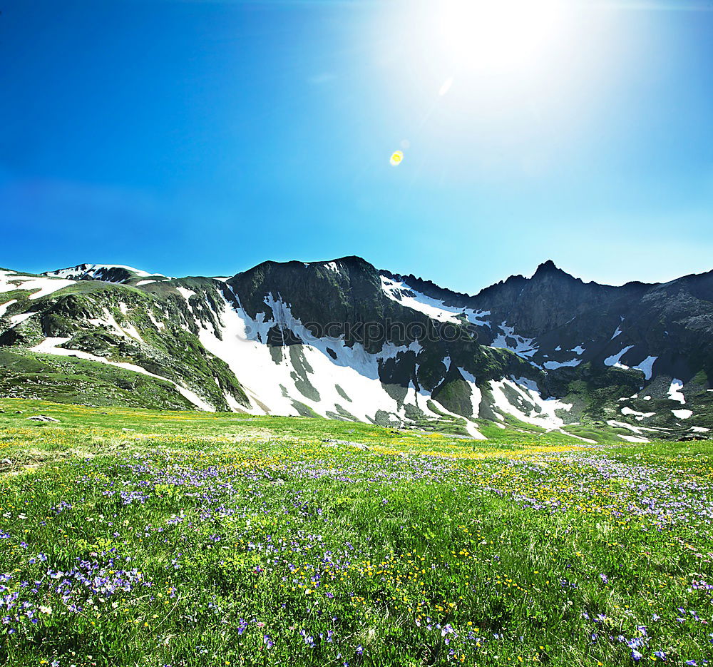 Similar – Frühling in der Höhe