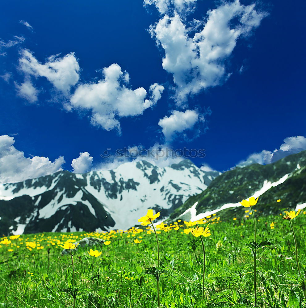 Similar – Image, Stock Photo toward heaven Mountain