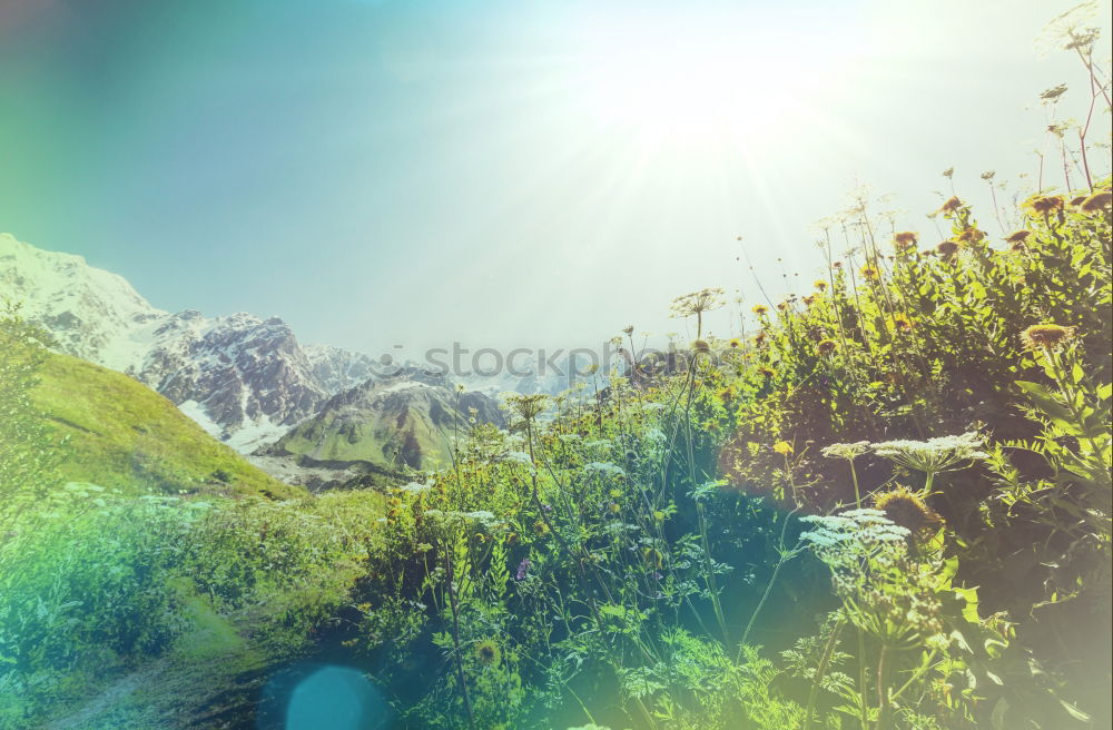 Similar – Image, Stock Photo Alpine village under sun rays