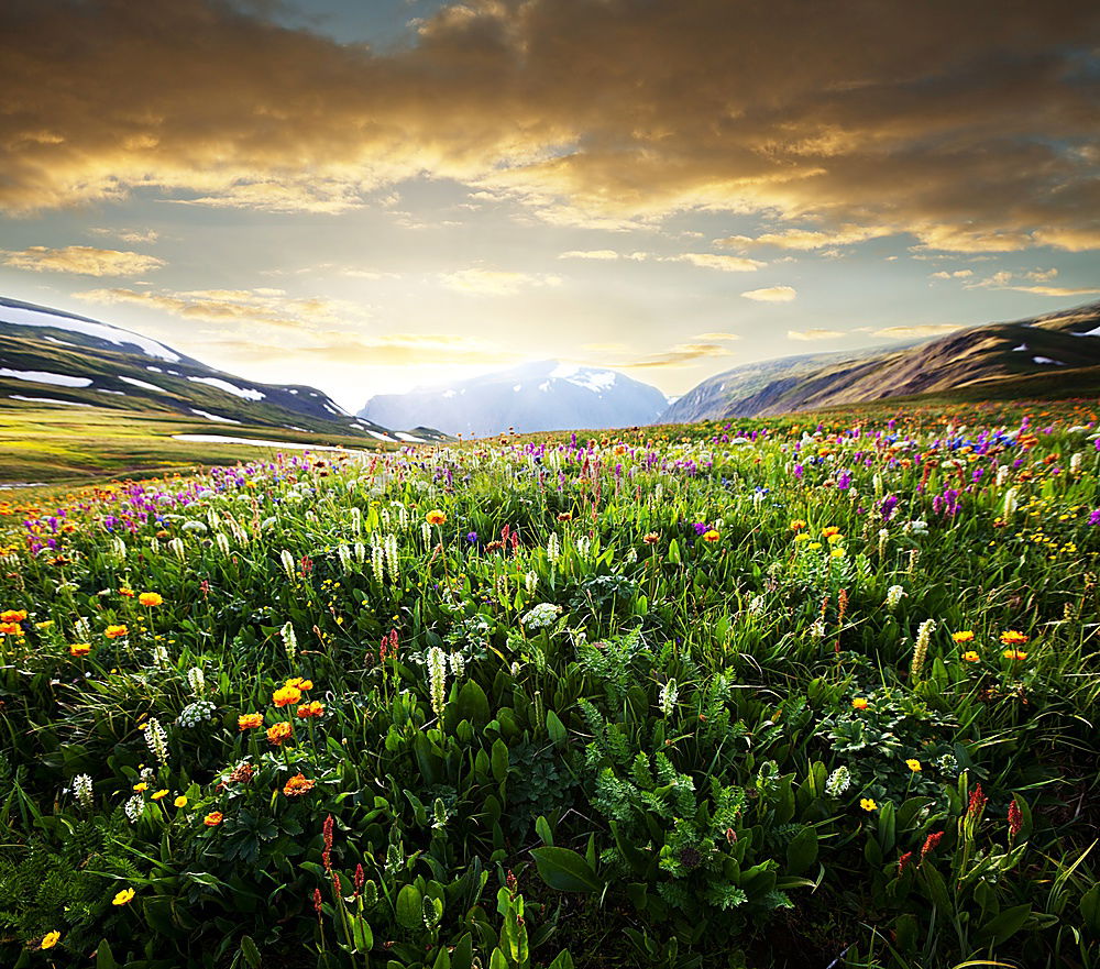 Similar – Foto Bild Osterspaziergang Frühling