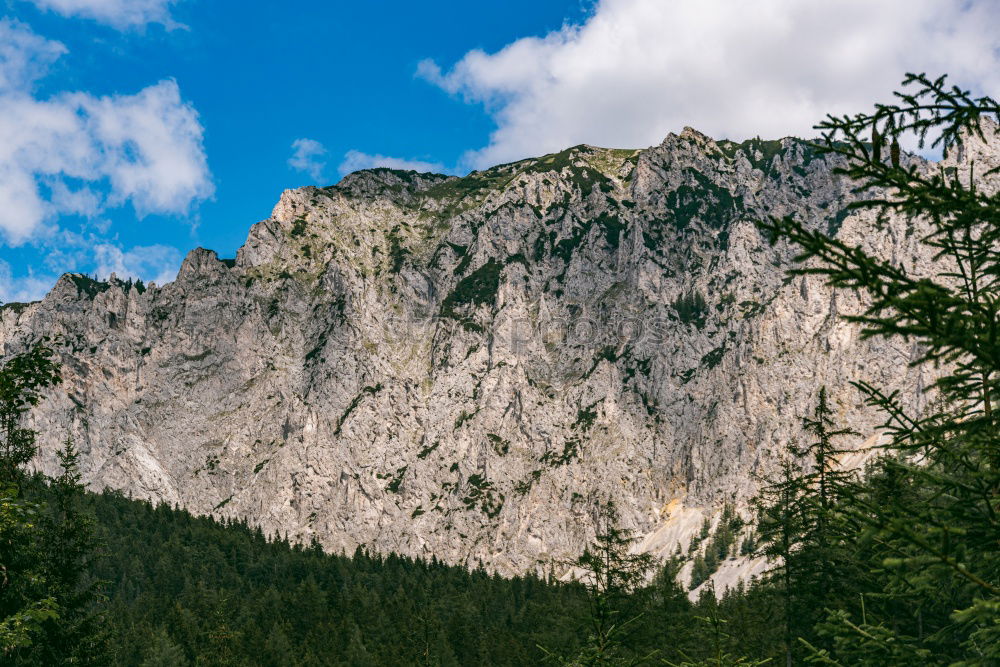 Similar – Image, Stock Photo Golden Mountains