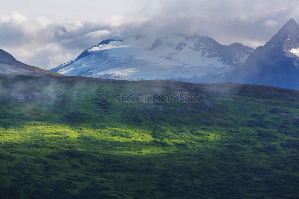 Similar – Sommerschnee Umwelt Natur