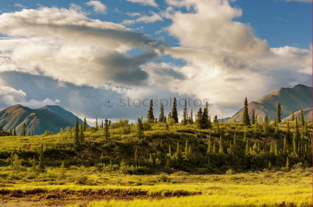 Similar – Altay Nature Landscape