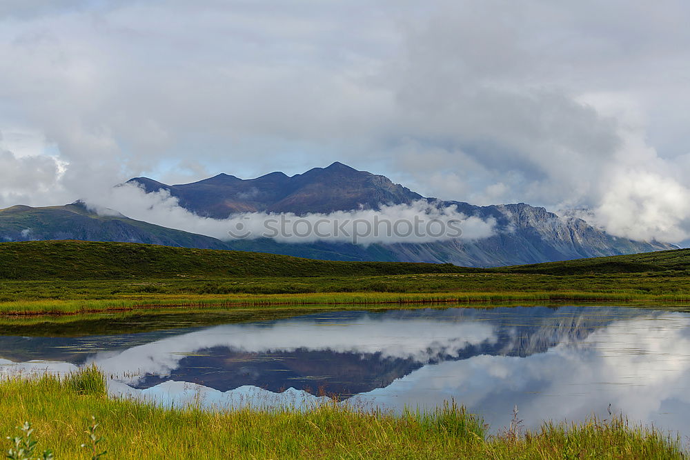 Similar – Lappland Wellness