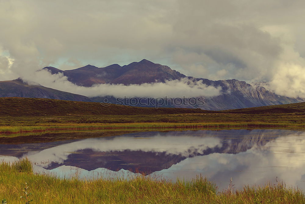 Similar – Image, Stock Photo FJORDBLICK Nature