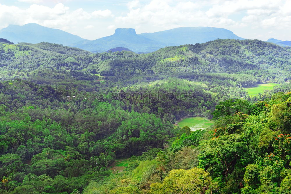 Similar – Tropical landscape in the morning