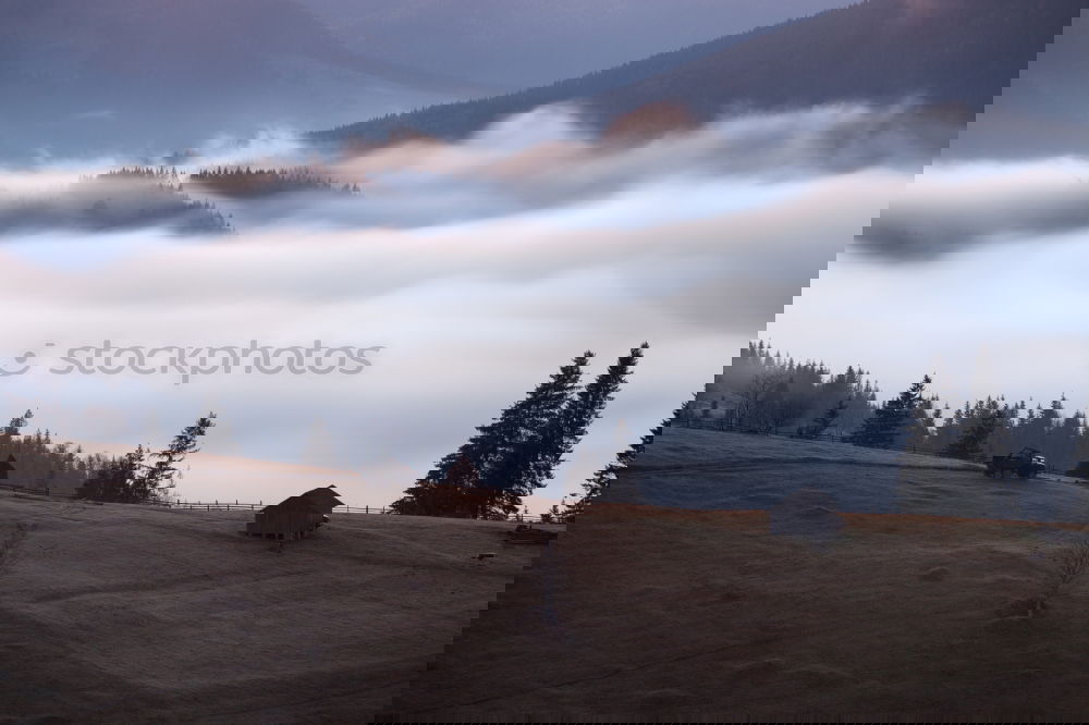 Similar – Image, Stock Photo Bottomless