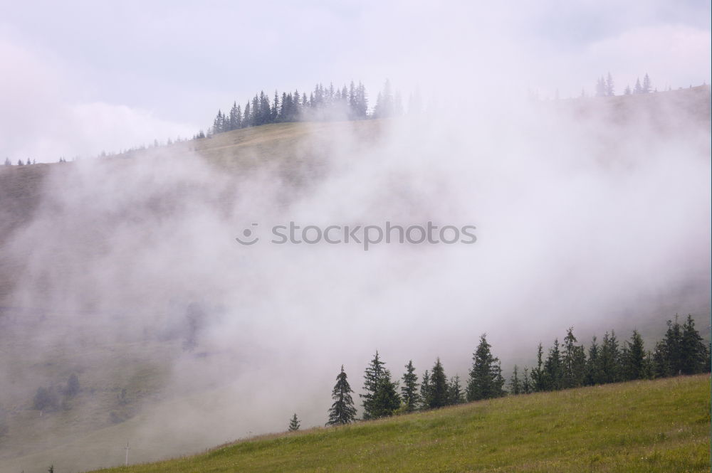 Landscape with snow on the Brocken in the Harz Mountains