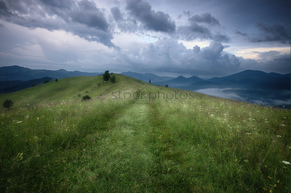 Similar – Image, Stock Photo Alpine summit with clouds