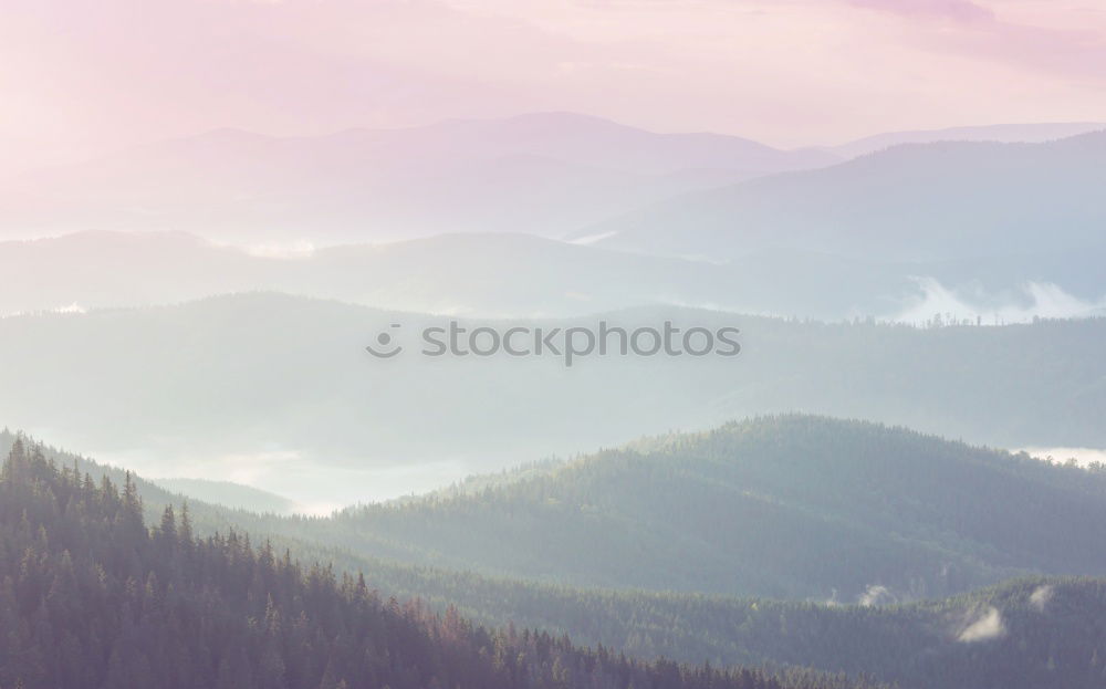 Similar – Image, Stock Photo Top Nature Landscape Sky