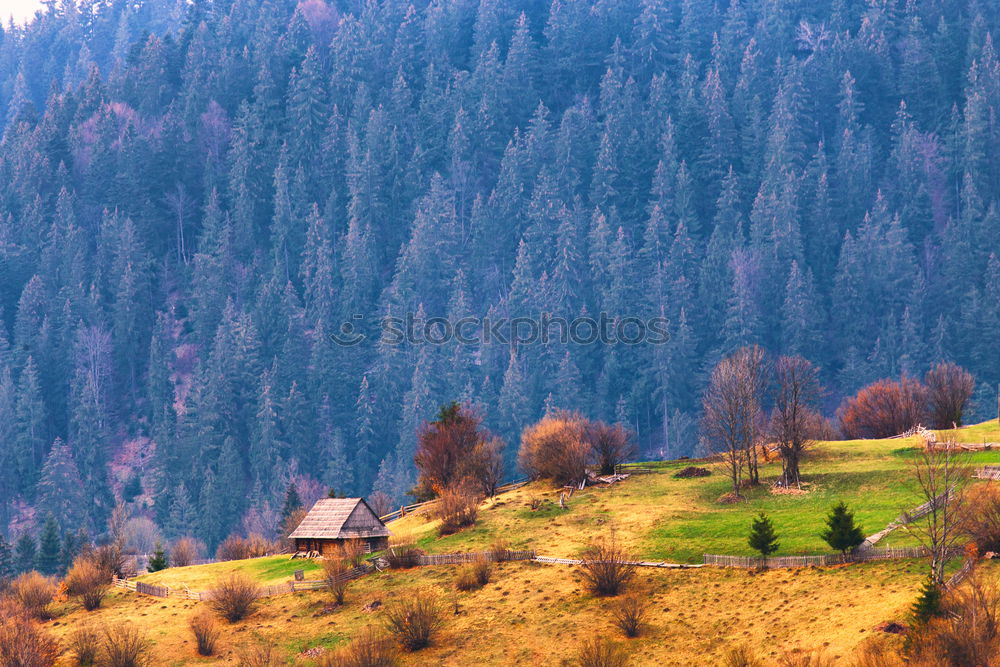 Mountains village on hillsides. Lone house on green hills