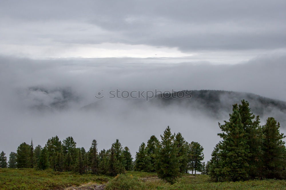 Similar – Landscape with snow on the Brocken in the Harz Mountains