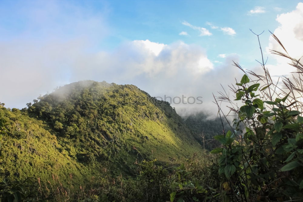 Similar – Image, Stock Photo Volcano Arenal Costa Rica