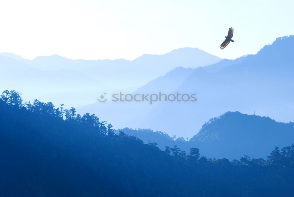 Similar – Image, Stock Photo Dolomites