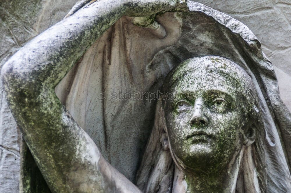 Image, Stock Photo hero’s death Cemetery