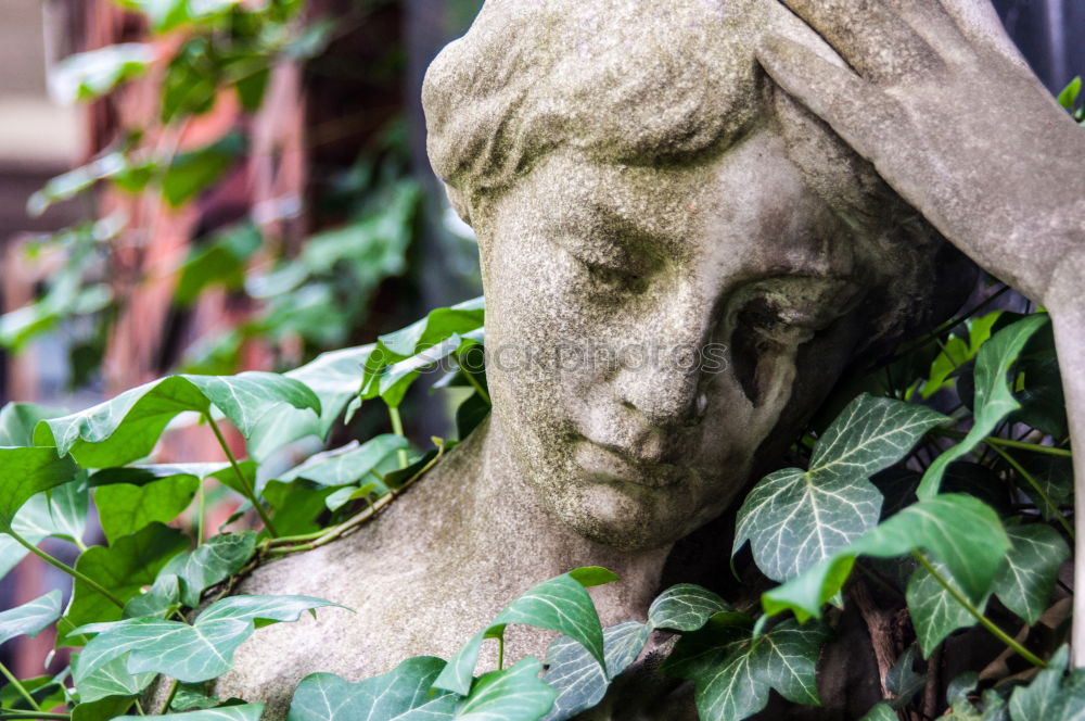 Similar – Young boy Wood Sculpture