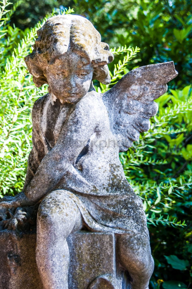 Similar – Stony angel. Stone Angel