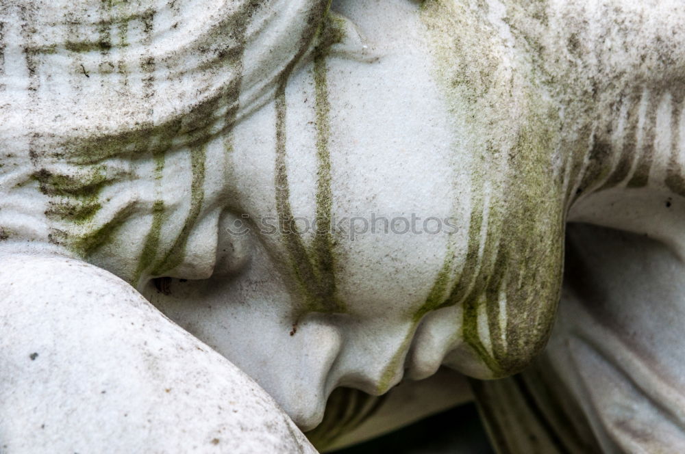 Similar – Image, Stock Photo Resting hands Feminine