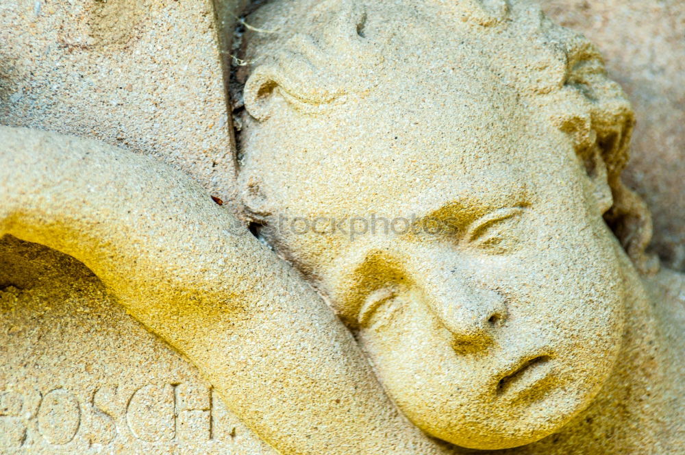 Similar – Grave in the old cemetery Offenbach