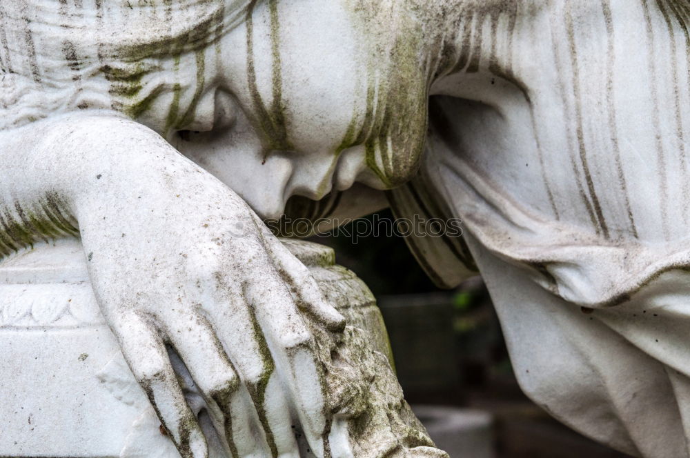 Similar – Image, Stock Photo Resting hands Feminine