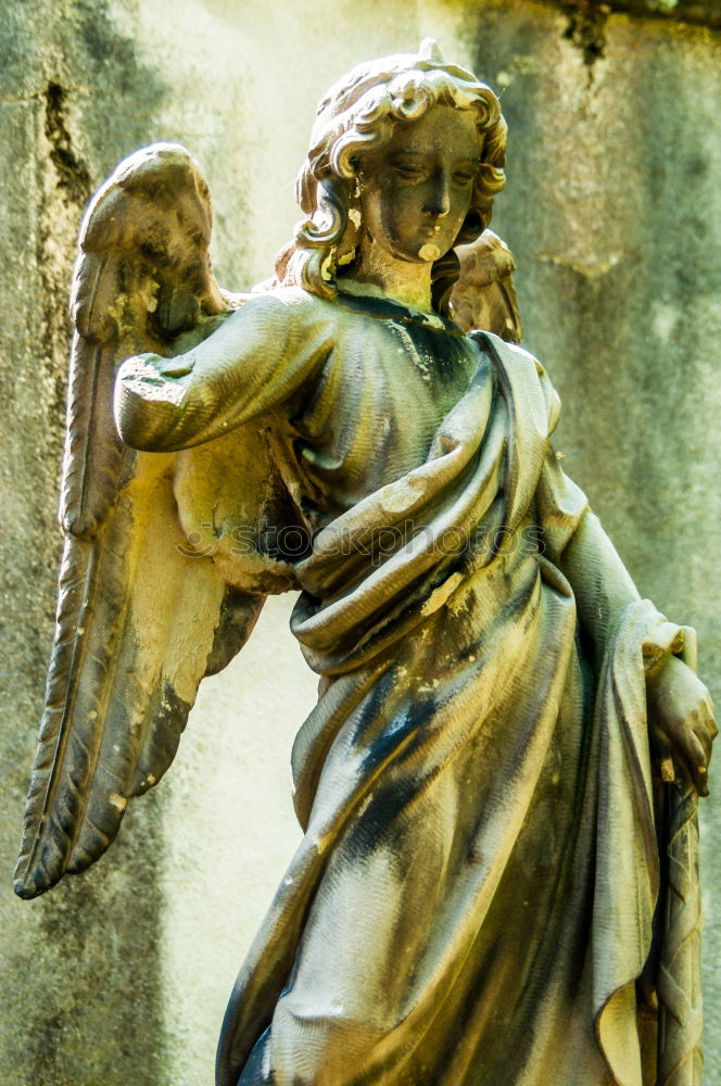 Similar – Detail of Fontana di Trevi, Rome, Italy