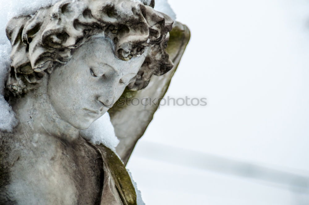 Similar – Detail of fountain in Piazza (square) Navona, Rome, Italy