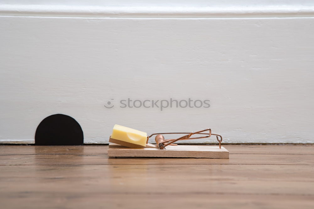 Similar – Image, Stock Photo High heels on an open door