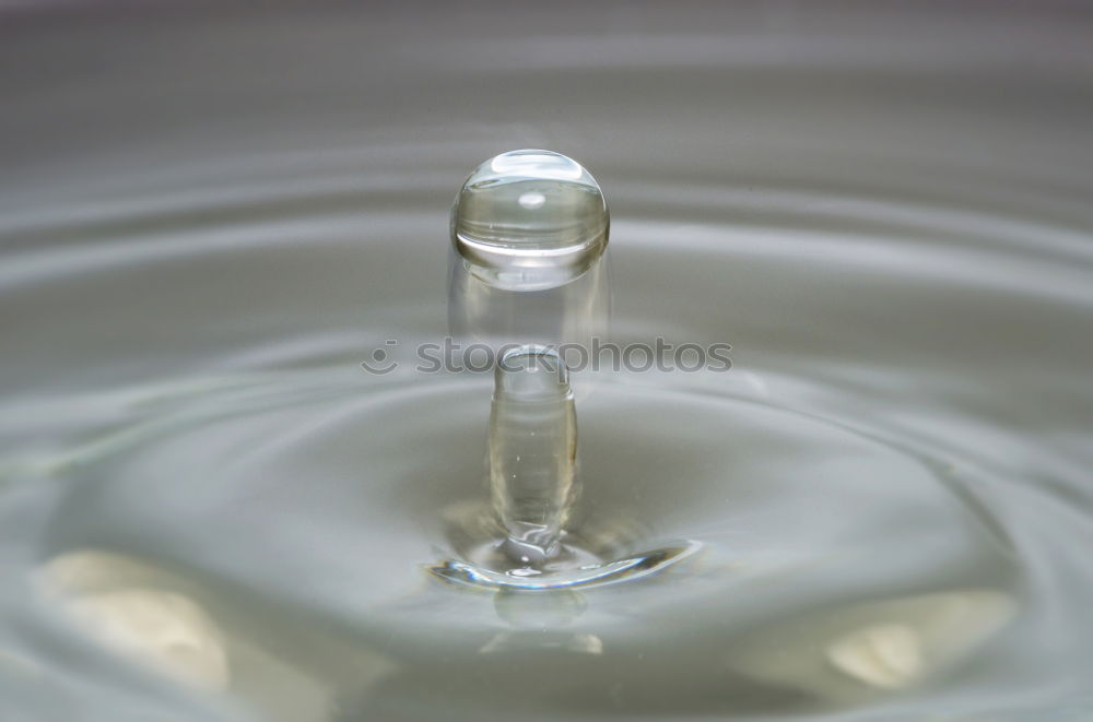 Half glass of water standing on the counter