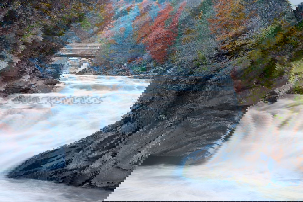 Similar – Image, Stock Photo whitewater taming Forest