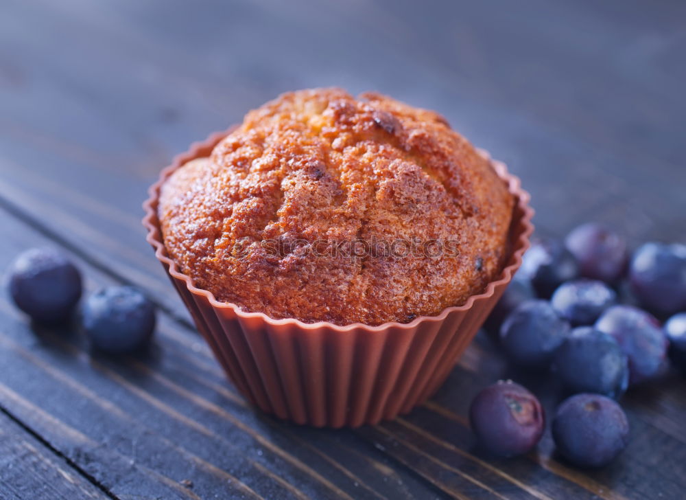 blueberry muffin Food