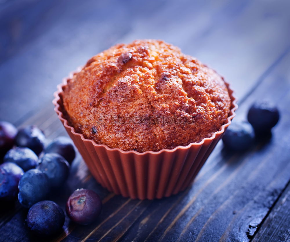 Similar – blueberry muffin Food