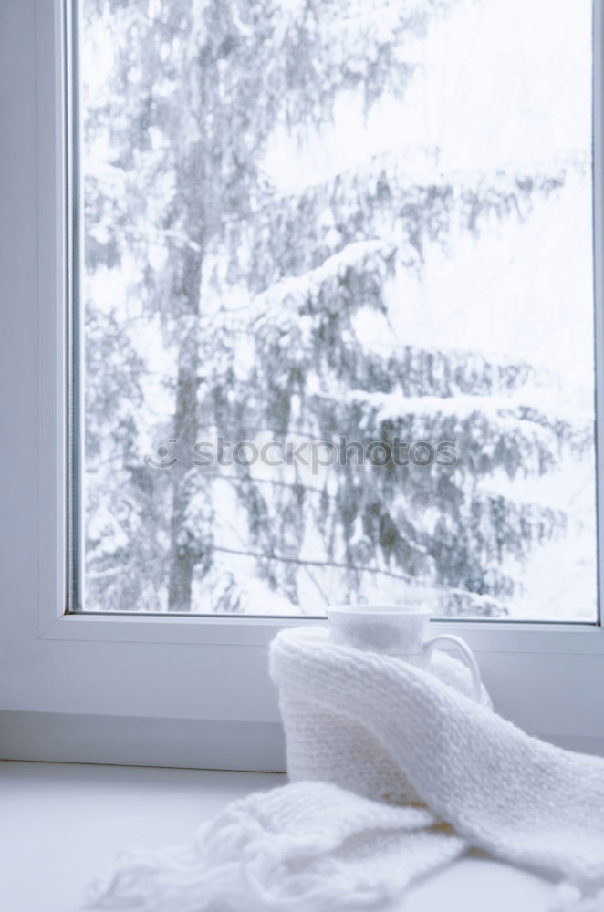 Similar – Foto Bild Zimmerpflanzen auf der Fensterbank in der Wintersaison gegen Bäume im Schnee hinter dem Fenster