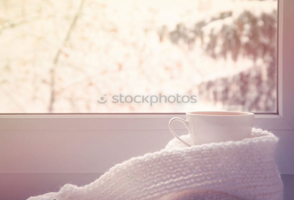 Similar – Image, Stock Photo cozy autumn morning at home. Hot cocoa with marshmallows