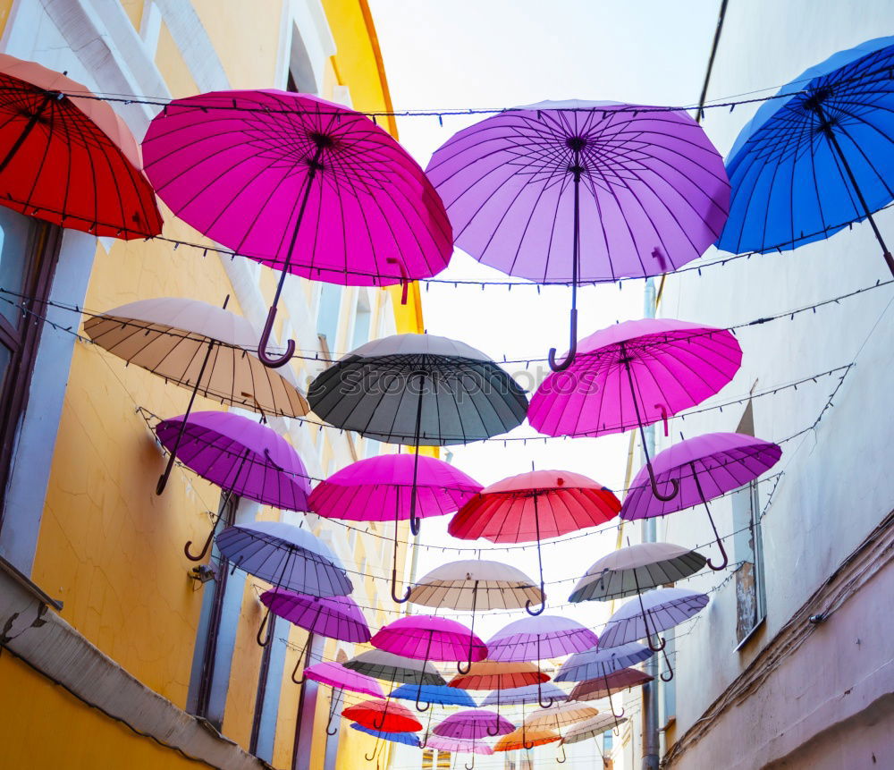 Similar – Image, Stock Photo umbrellas Art Work of art