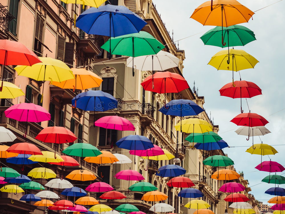 Similar – Image, Stock Photo umbrellas Art Work of art