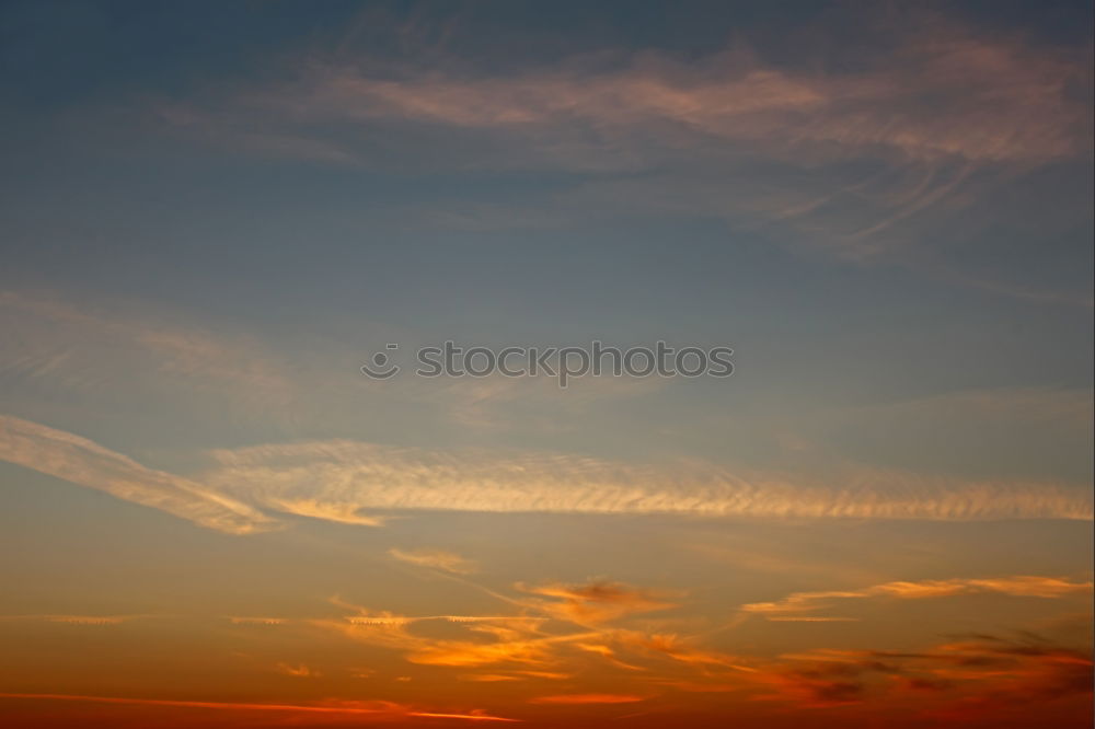 Similar – Image, Stock Photo balloon Night Tree Clouds