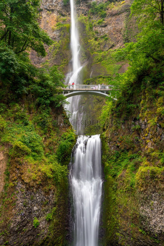 Similar – Image, Stock Photo Multnomah Falls, Columbia, USA