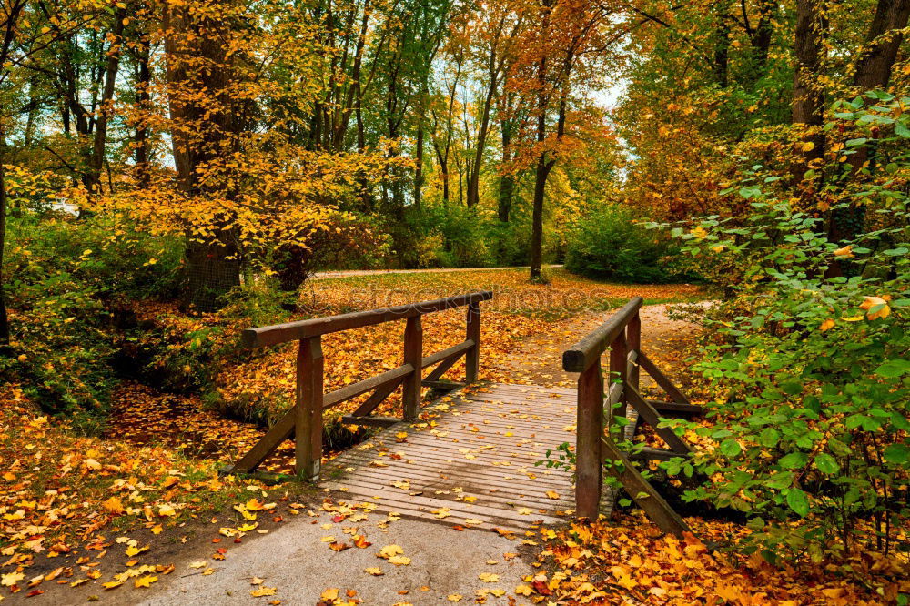 Similar – Image, Stock Photo Foliage cover II