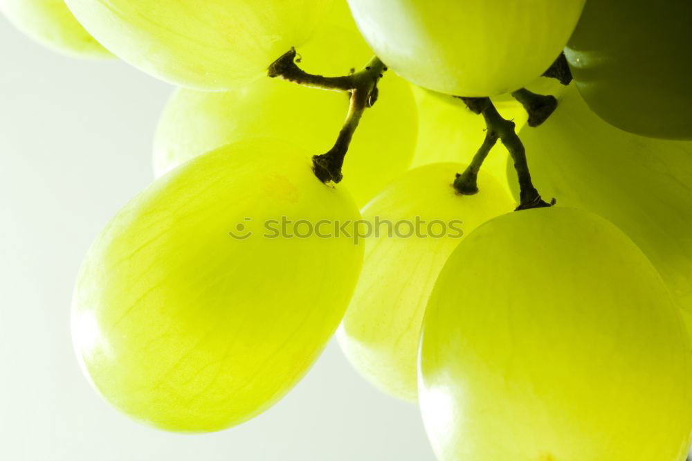 Similar – Image, Stock Photo Picture without name