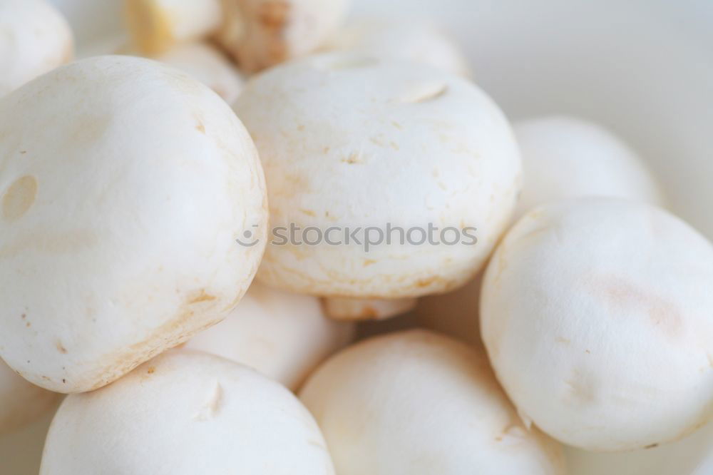 Similar – Image, Stock Photo Champignon Mushrooms on an old wooden table