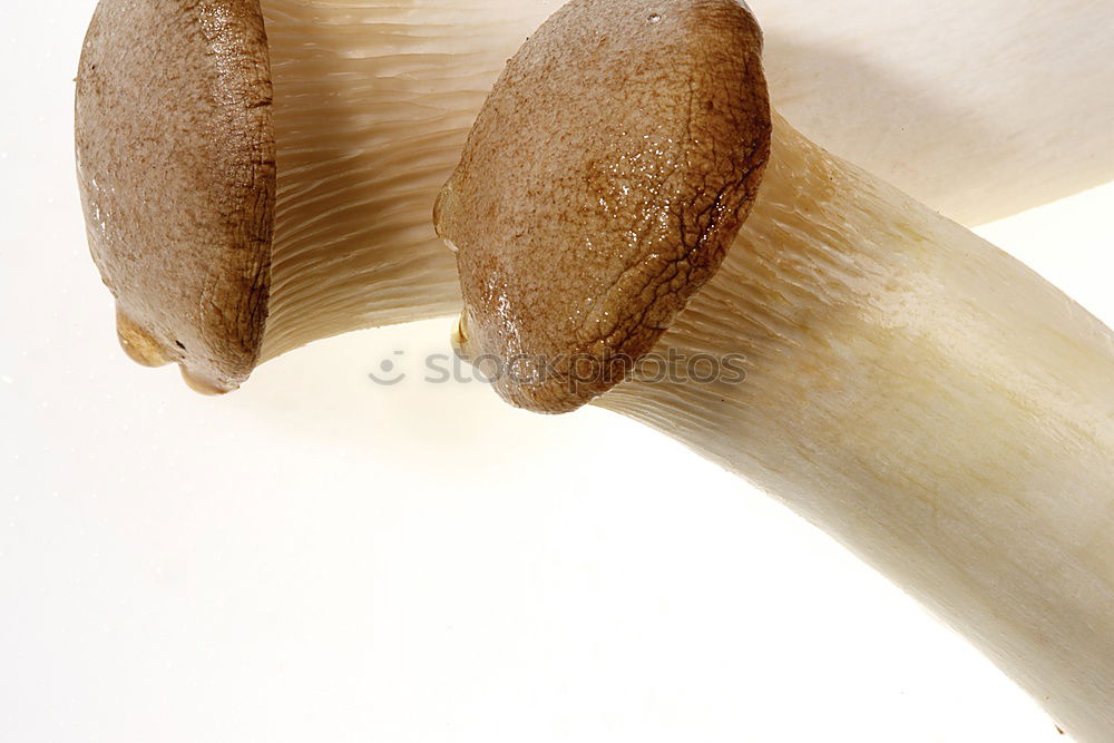 Similar – Onion and garlic bulb partially visible in basket