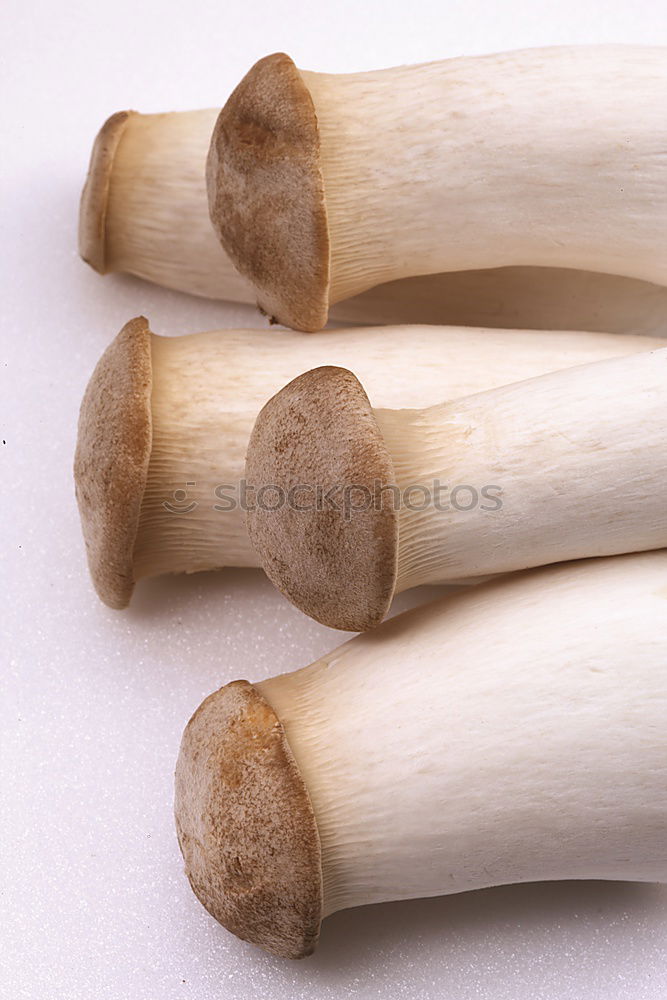 Similar – Image, Stock Photo asparagus Food Vegetable