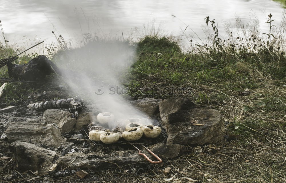 Similar – Image, Stock Photo Smoked fish for everyone! :D