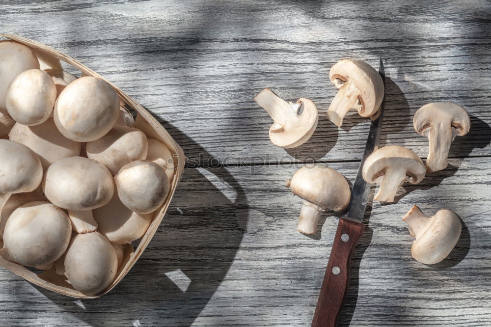 Similar – 7 Garlic Art Work of art