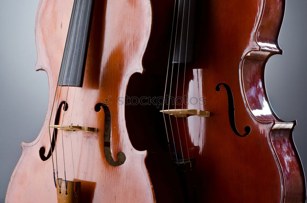 Similar – A violin photographed from above and very close up. You can see the bridge, the F holes, a part of the metal sides, a part of the light wood body and a part of the black fingerboard of the instrument.